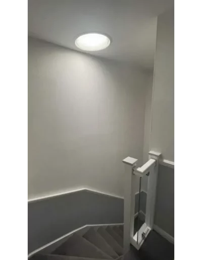 Gray carpeted stairs with white walls and gate.