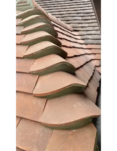 Curved terracotta roof tiles close-up view